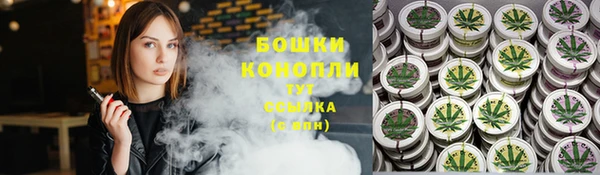 прущие грибы Вязьма