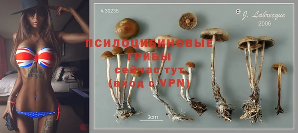 spice Володарск