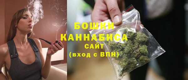 мдпв Волоколамск