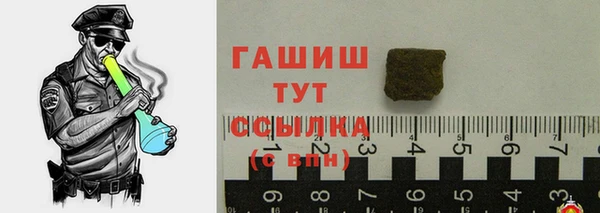 прущие грибы Вязьма