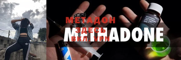 прущие грибы Вязьма