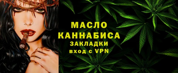 прущие грибы Вязьма