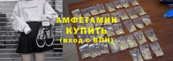 прущие грибы Вязьма