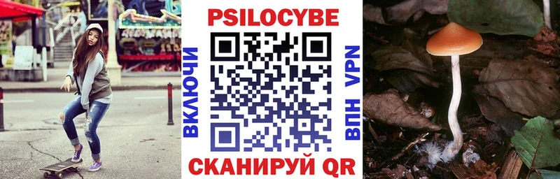 Псилоцибиновые грибы Psilocybine cubensis  Королёв 
