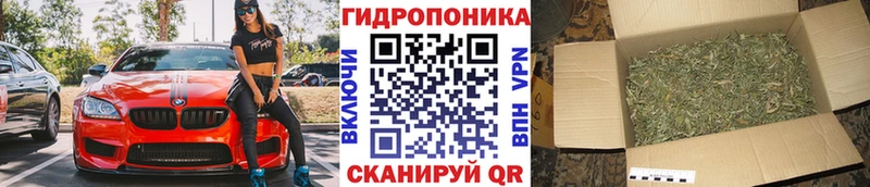 Каннабис MAZAR сколько стоит Королёв